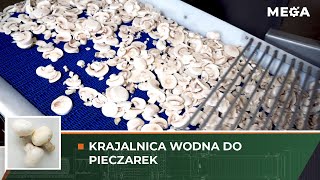 KRAJALNICA WODNA DO PIECZAREK [upl. by Lleznol321]