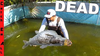 MY BIGGEST PET DIED in POOL POND while Fishing with ALLIGATORS [upl. by Tova]