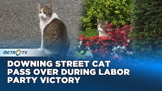 Downing Street Cat Larry on Prowl as New UK Cabinet Meets For First Time [upl. by Analak]