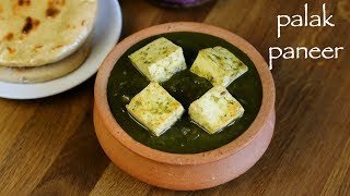 palak paneer recipe  restaurant style palak paneer recipe  cottage cheese in spinach gravy [upl. by Doughty]