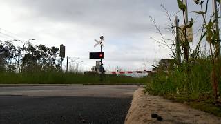 Kelmscott Station Railway Crossing South End [upl. by Maharba]