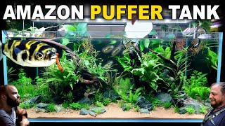 The Amazon Puffer Aquarium 4ft Planted Tank Aquascape Tutorial [upl. by Roddie612]