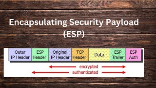 IP Sec Fundamentals ESP Tunnel and Transport Mode [upl. by Mcclain]