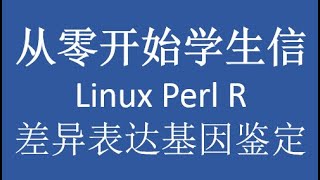 从零开始学之Linux Perl and R第九讲 差异表达基因鉴定 [upl. by Leund]