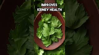 Discover the Incredible Health Benefits of Parsley healthyfood [upl. by Niels773]