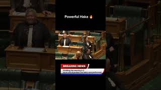 Powerful Haka in Parliament [upl. by Derry]