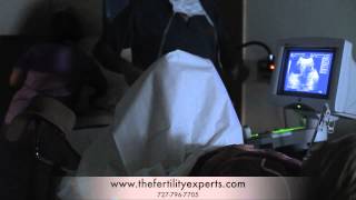 Live Demonstration of Egg Collection and Embryo Transfer in IVF By Dr Kaberi Banerjee  Part 1 [upl. by Deibel]