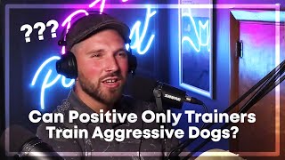 Show Us How You Would Train An Aggressive Dog Zak George Review [upl. by Ahset]