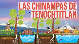 ¿Cómo construían sus chinampas los aztecas [upl. by Amehsyt]