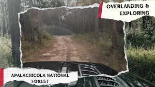 Exploring and Overlanding Through Apalachicola National Forest [upl. by Minnie805]