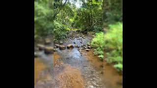 yerravaram ➡️ koyyuru waterfalls 🤩☮️ [upl. by Ayaladnot]