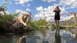 Little Eden at Mono Hot Springs [upl. by Wagstaff]