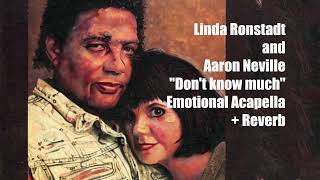 Linda Ronstadt and Aaron Neville quotDont know muchquot Emotional Acapella  Reverb [upl. by Agni]