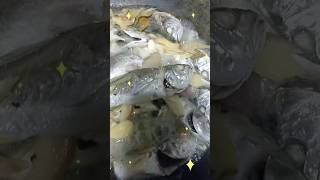 Paksiw Isda Recipe youtuber food shortvideo cooking yummy nonoyvloggertvchannel6907 [upl. by Gretal]