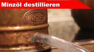 🌷 Minze destillieren 🌻  ätherisches Öl selber machen  diSTILLed [upl. by Pike]