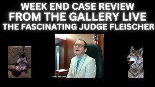 Learning Law Things with Judge Fleischer  Live From The Gallery  Ep 26 [upl. by Euqinue575]