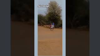 Cycle wheeling Pakistan Ali champ viralvideo short [upl. by Conlen]