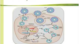 Quantitative HBsAg and its Role in Chronic Hepatitis B Patient Management [upl. by Yrennalf728]