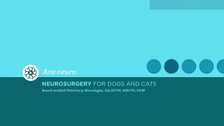 Endocrine diseases with Neurological consequences in Dogs and Cats [upl. by Lyrrad]