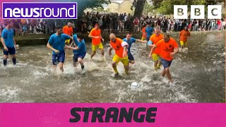 Strange News Bog snorkelling fun football amp more  Newsround [upl. by Nerhe199]