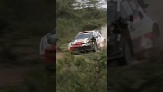 Takamoto Katsuta 🔥wrc safarirallykenya toyota gryaris rallycar rally1 toyotamotorsport [upl. by Christiansen126]