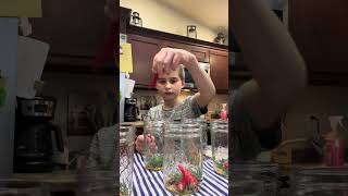 Canning spicy dill pickles 🌶️ garden midwest growyourownfood homestead canning wisconsin [upl. by Ragucci122]