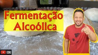 Fermentação Alcoólica  Bioenergética  Biologia com o Tubarão [upl. by Clemente383]