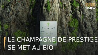 Le champagne de prestige se met au bio [upl. by Assehc387]