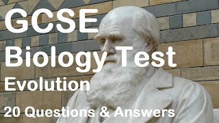 20 GCSE Biology Revision  Evolution Questions amp Answers  test yourself and learn [upl. by Heinrich398]