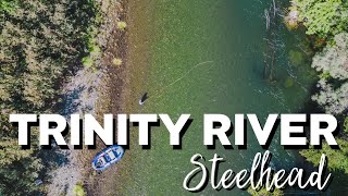 Trinity Steelhead Report  Swinging Flies in September [upl. by Giza]