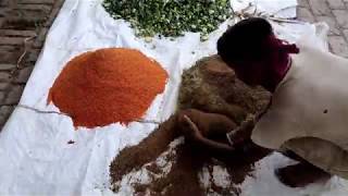 Utilization of tomato pomace as livestock feed [upl. by Jacquette]