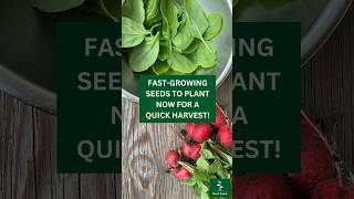 5 FastGrowing Crops For A Quick Harvest [upl. by Omura]