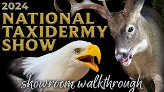 National Taxidermy Competition 2024  Showroom Walkthrough [upl. by Cohette490]