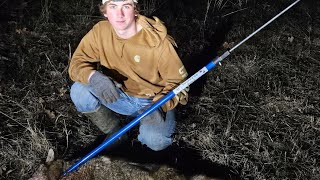 Dispatching A Coyote With The Trappers Pole One Of The Handiest Trapping Tools [upl. by Nahshunn]