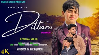 DILBARO  KASHMIRI SUPER HIT SONG  RAMEES NAZIR  UMER QURESHI SHAKIR BABA [upl. by Ynnavoeg]