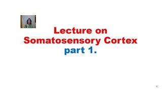 Lecture on Somatosensory Cortex part 1 By Dr Kavita S Gupta [upl. by Aiela]