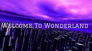 Welcome to Wonderland  Anson Seabra slowed  reverb [upl. by Gordan]