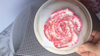 Piping a buttercream carnation flower tutorial [upl. by Inafit409]