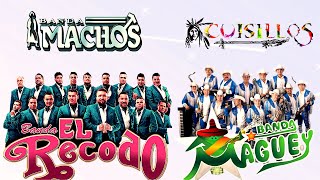 Viejitas De La Banda Para Bailar Movidas Mix  El Recodo Banda Cuisillos Banda Machos [upl. by Ynafetse27]