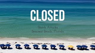 The Beaches Are CLOSED Shark Attacks [upl. by Secilu]