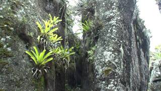 A visit to Floreana Galapagos and the Wittmer Hotel 2010 [upl. by Dwayne819]