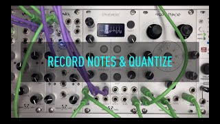 Ephemere Chapter 4 Quantize amp Scale [upl. by Pastelki474]