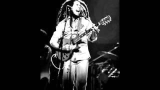 Bob Marley 19791206 Live At Hoch Auditorium University Of Kansas Lawrence Kansas [upl. by Oalsinatse557]