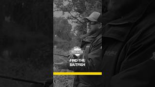 PERCH FISHING UK TIPS BY ASH COSTA  FIND THE BAITFISH perchfishinguk lurefishinguk [upl. by Anitram]