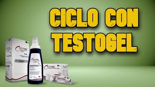 CICLO CON TESTOGEL  ¿ES VIABLE [upl. by Akamaozu]