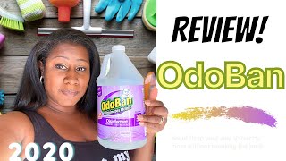 OdoBan Review 2020 [upl. by Lihp]