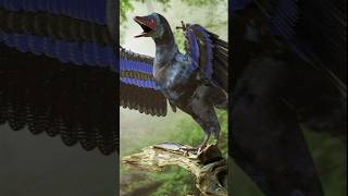 Archaeopteryx  terrifying dinosaurs you’re glad are extinctinosaurs shorts reels viralvideos [upl. by Scott]