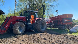 Massey Ferguson 7616 amp Tume Super Nova Combi 4000 rypsin kylvöä🚜🌾 [upl. by Libbna]