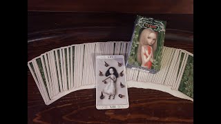 Daily Tarot  Nicoletta Ceccoli Dolls Deck  Death [upl. by Adigun]