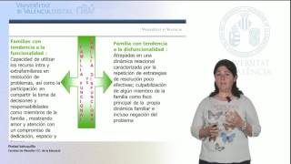 51 Introducción mediación familiar La familia como sistema Consecuencias [upl. by Felipe]